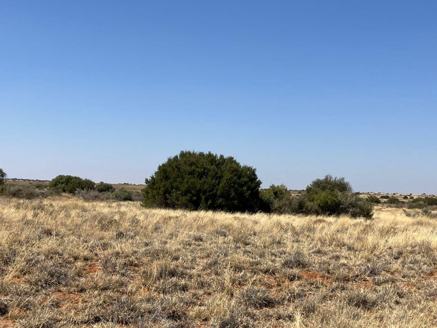 0 Bedroom Property for Sale in Luckhoff Free State